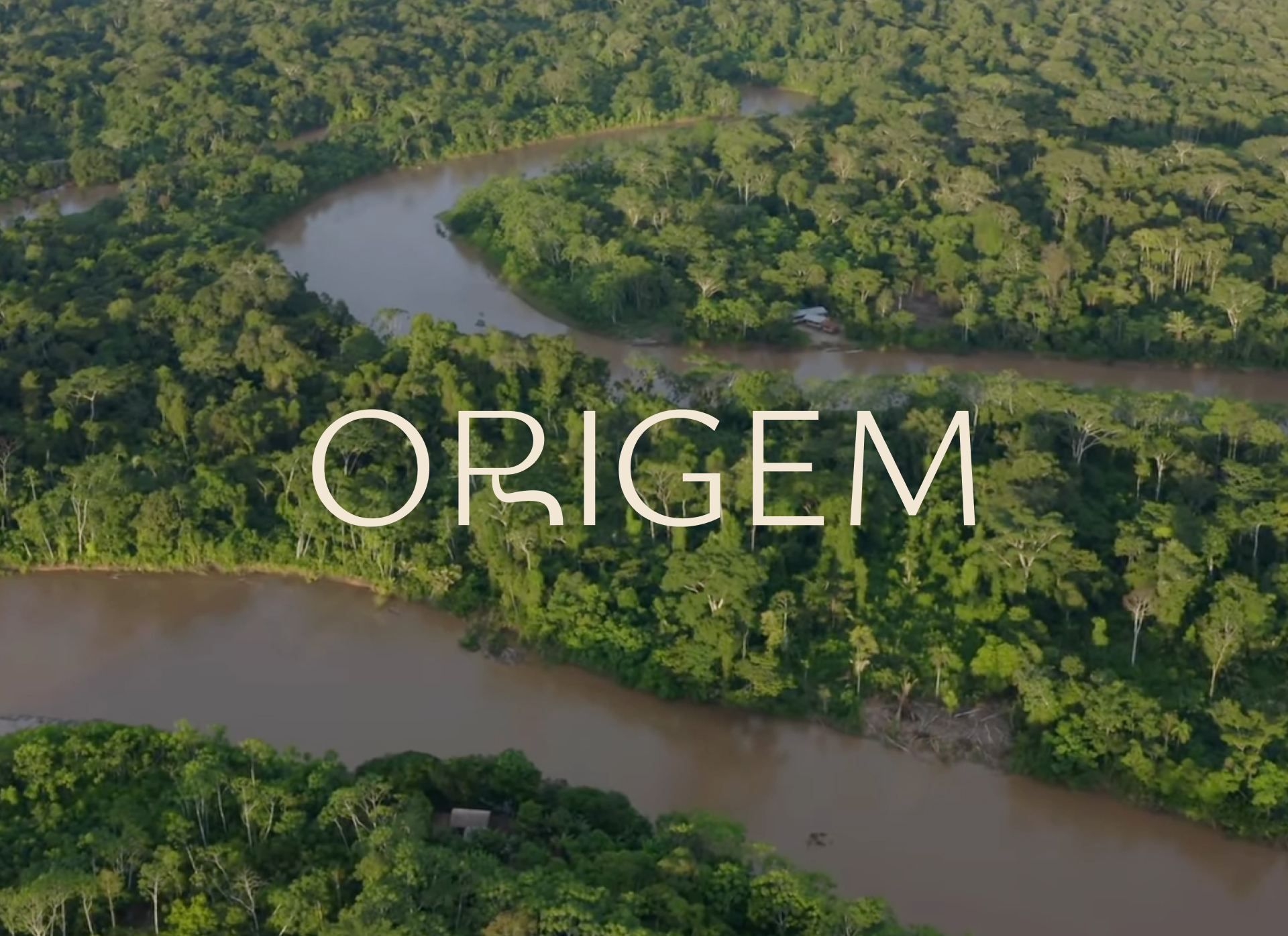 Describe your project