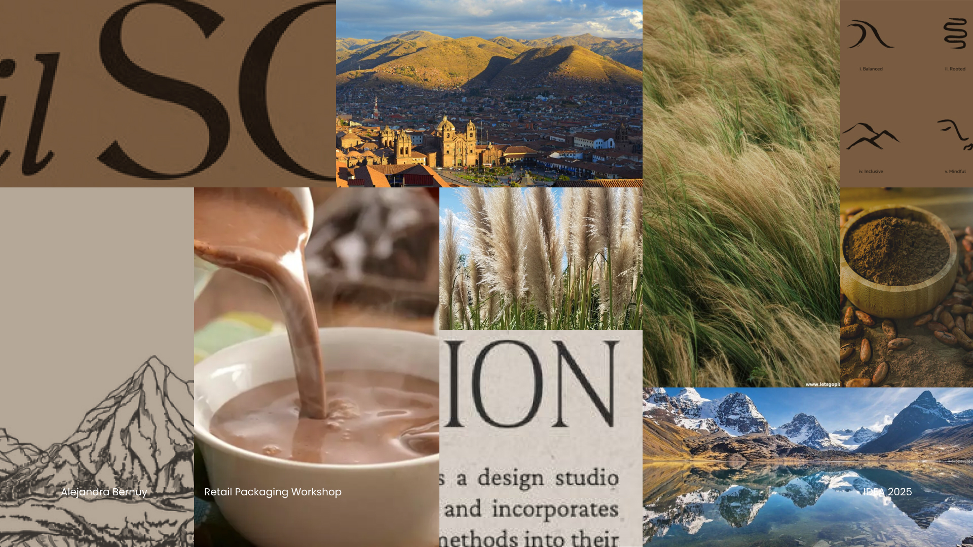 Describe your project